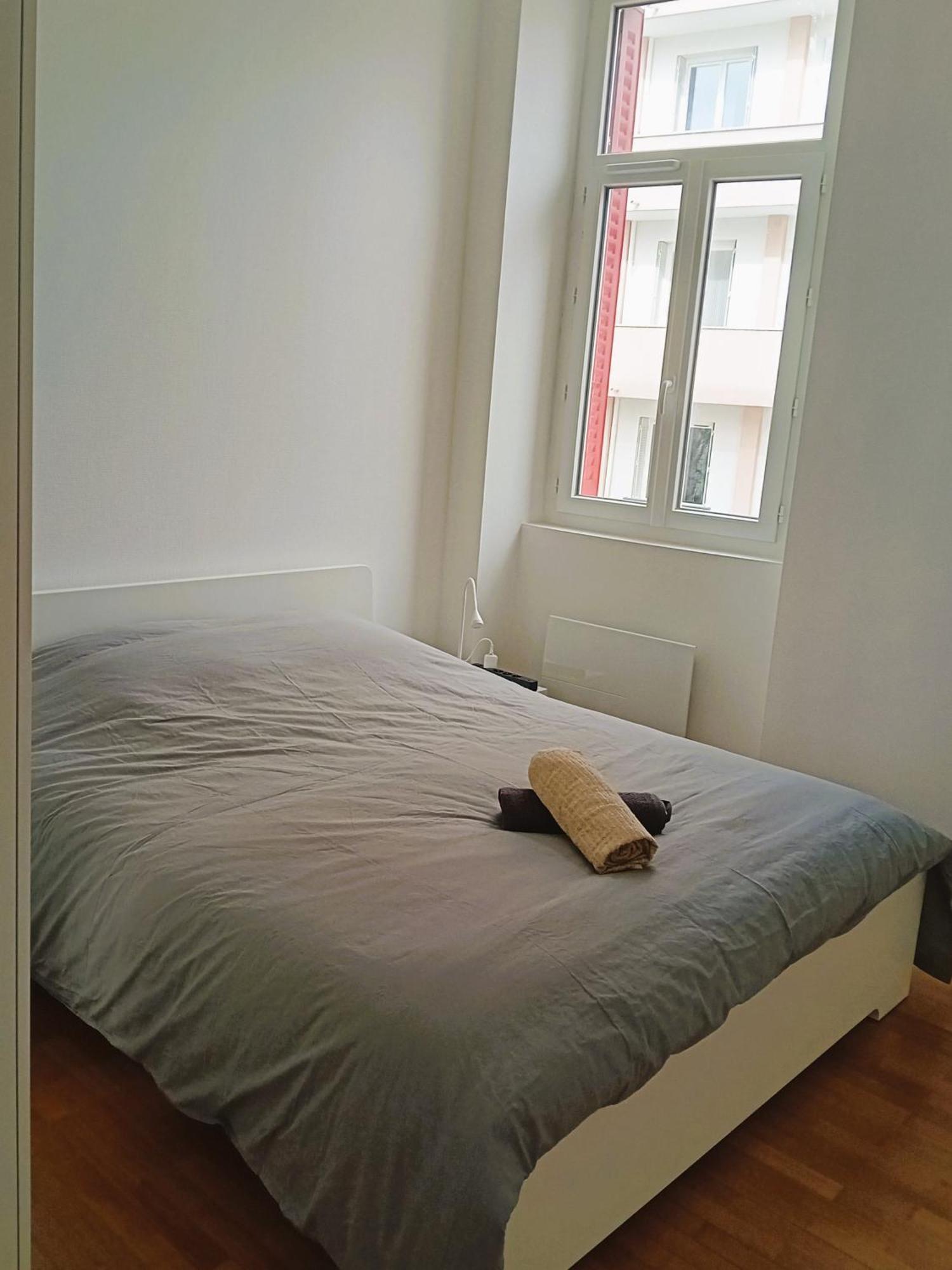 102 - Appart Renove Avec Grand Salon Et 1 Chambre - Tram Et Clinique Mutualiste A 1 Min Grenoble Exterior foto